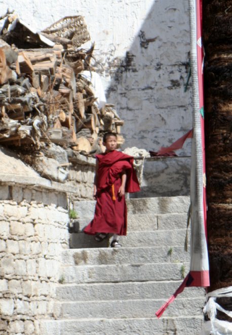Drepung monk