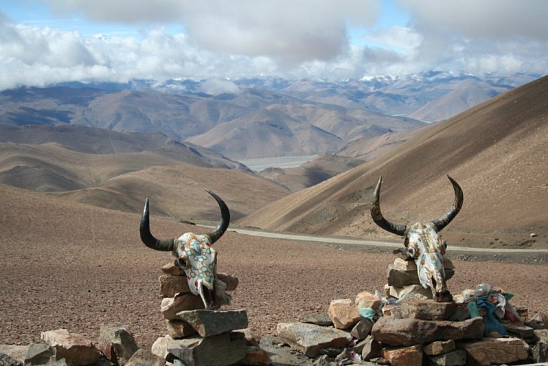 yak skulls and everest at pang la