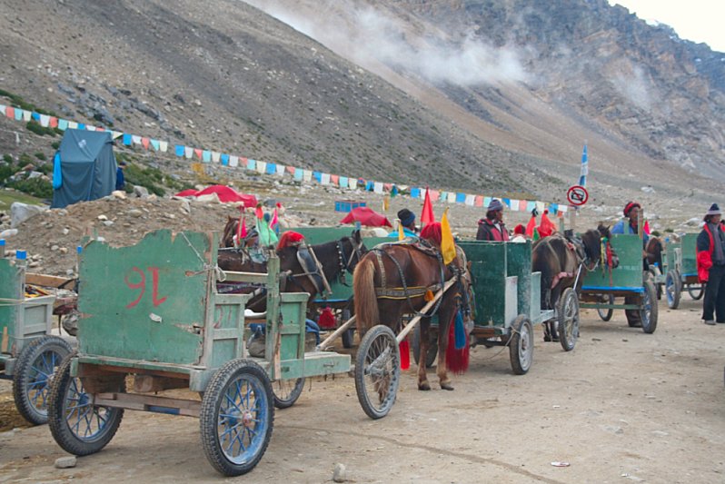 ponycarts