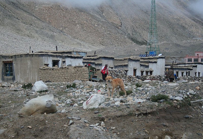 monastery guest houses and dog