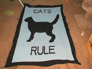 Dawn's completed afghan