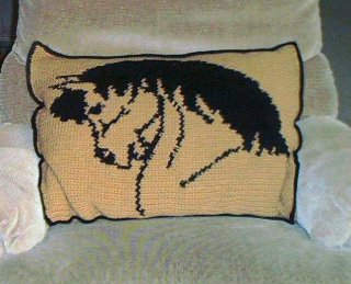 Patti in NM's completed Horse Head Pillow