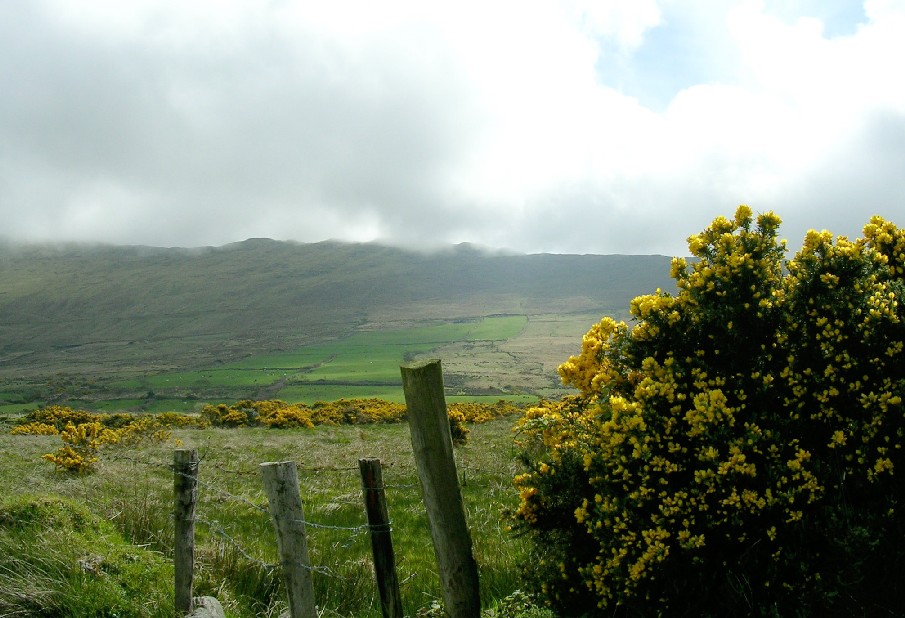Beara view
