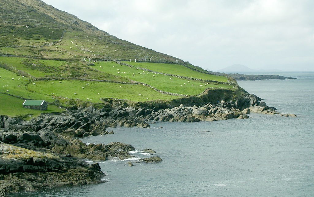 Beara sheep pastures