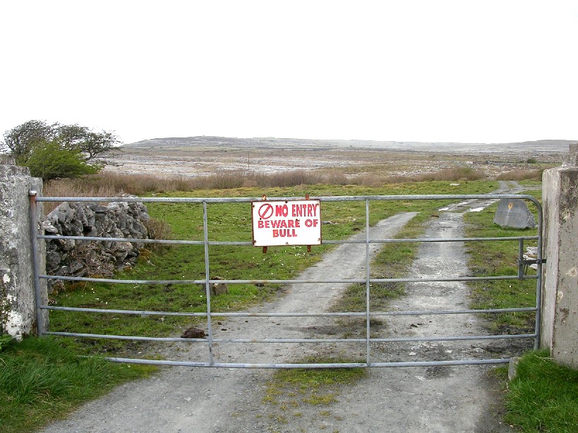 Beware of Bull