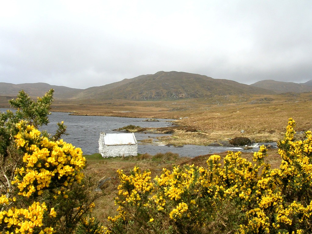 Connemara white shack