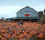 Southern Ontario Autumn 2003 thumbnail image