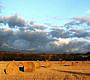 Southern Ontario Autumn 2004 thumbnail image