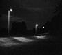 Mimico Creek Ravine thumbnail image
