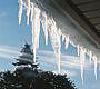Southern Ontario Winter 2004 thumbnail image