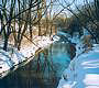 Toronto Winter 2005 thumbnail image