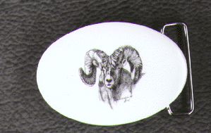 Big Horn Sheep