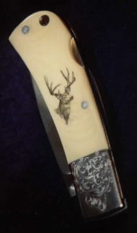Deer on Pocket Knife
