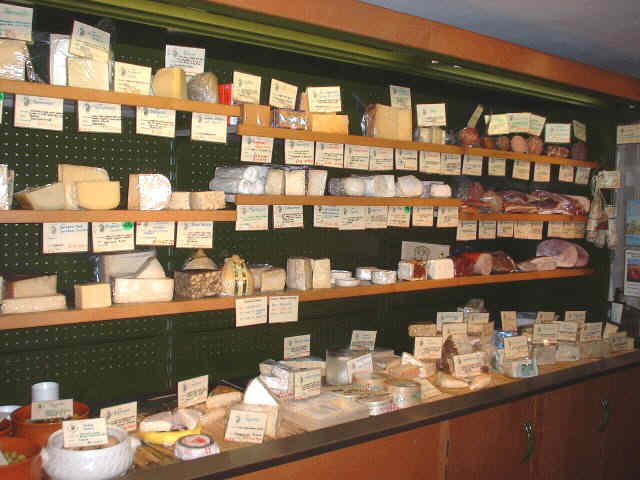 cheeses from around the world