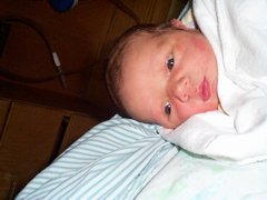 I'm Cute!