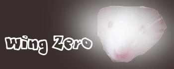 =)