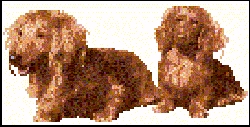 ani009.jpg