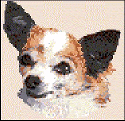 ani010.jpg