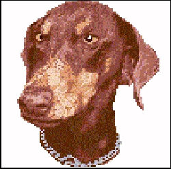ani014.jpg