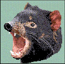 ani017.jpg