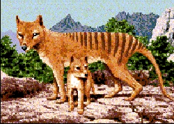 ani021.jpg
