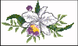 flw011.jpg