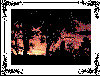 lea4019.jpg