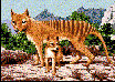 lea4040.jpg