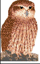 lea4054.jpg