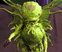 Click for Synopsis of our CthulhuPunk Game