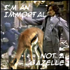 Gazelle Lovin'