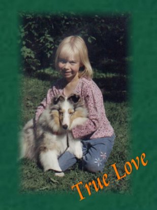 Alanna_Sheltieweb.jpg (23751 bytes)