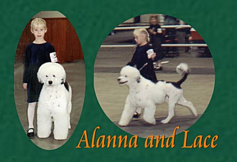 Alanna_laceweb2.jpg (30048 bytes)