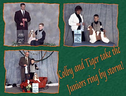 Colby_Tigerweb.jpg (42583 bytes)