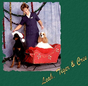 xmasweb.jpg (43283 bytes)