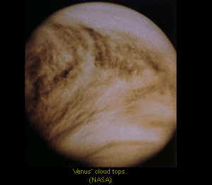 venus.bmp (235854 bytes)