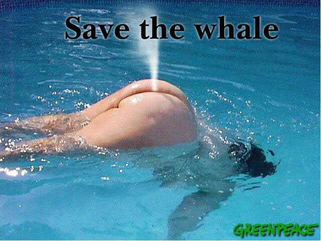 /user/SAVE_THE_WHALE.JPG
