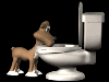 /user/dogdrinking_sm_blk.gif