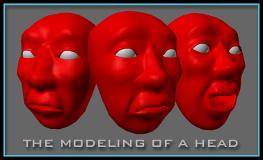 The modeling of a head.