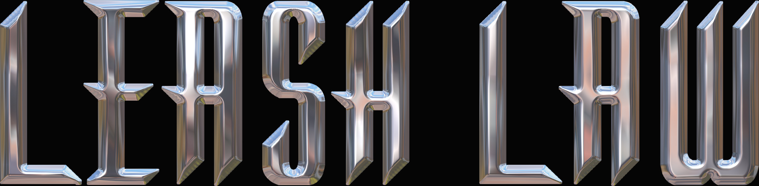 leashlaw1.jpg (262556 bytes)