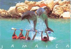 Jamaica -from my aunt's bf Bob (january 2002)