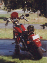 My '83 Low Rider