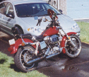 My '83 Low Rider