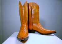Cowboy Boots