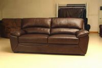 Leather Couches