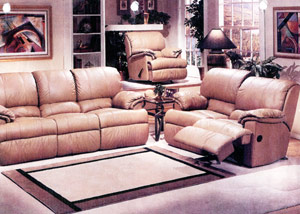 Leather Funiture
