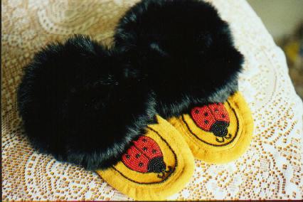 Lady Bug Moccasins
