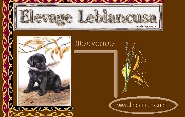 Bienvenue � notre site!  
nous esp�rons que vous appr�cierez votre visite!