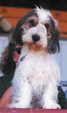 Aggie looking deceptively sweet