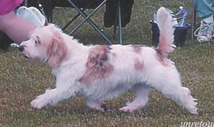 Bijou showing lovely movement